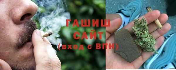 spice Инсар