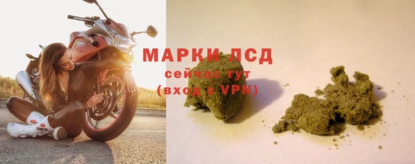 spice Инсар