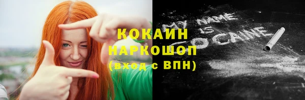 spice Инсар