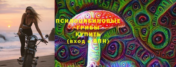 spice Инсар